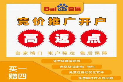 案例研究：SEM推广助力企业业绩增长